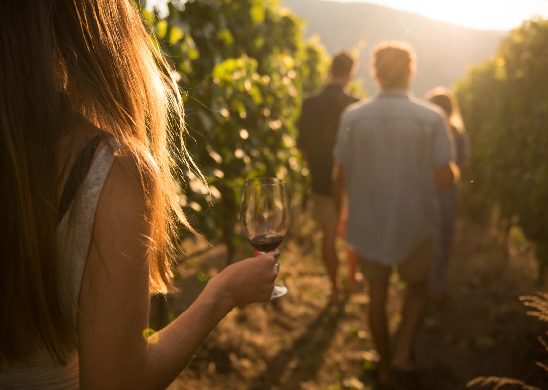 A group walks through the vineyards at Painted Rock Estate Winery Ltd