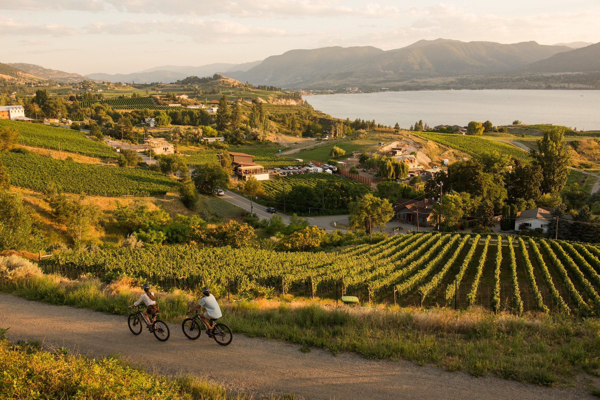 Cycling past vineyards on the Kettle Valley Railway between Penticton and Naramata