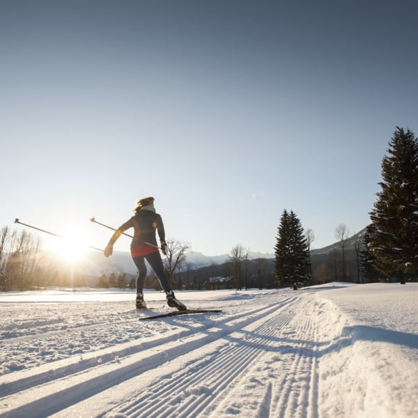 Cross-country skiing in the Kootenay Rockies