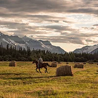 Horseback Riding at Bracewell's Alpine Wilderness Adventures above Tatlayoko Lake