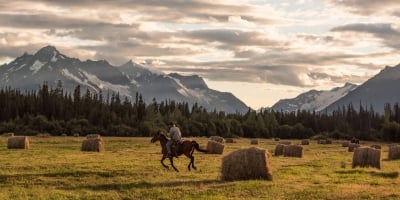 Horseback Riding at Bracewell's Alpine Wilderness Adventures above Tatlayoko Lake