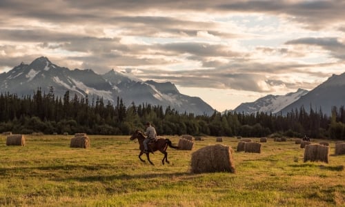 Horseback Riding at Bracewell's Alpine Wilderness Adventures above Tatlayoko Lake