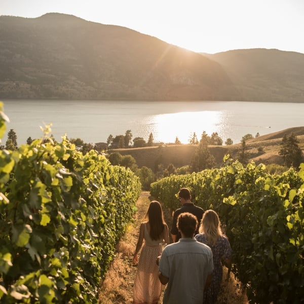 A group walks through the vineyards at Painted Rock Estate Winery Ltd with views of Skaha Lake