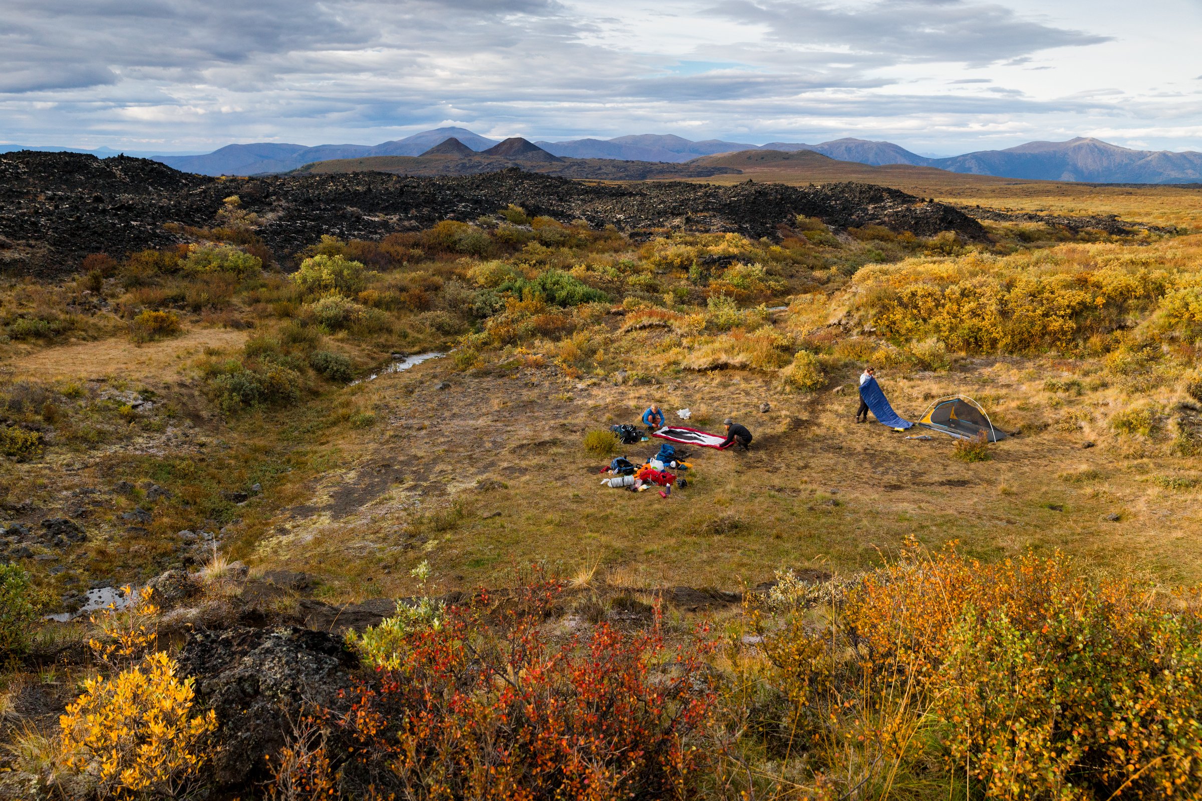 A group sets up their tents in an alpine meadow with various shades of green, yellow and orange foliage and mountains in the background.