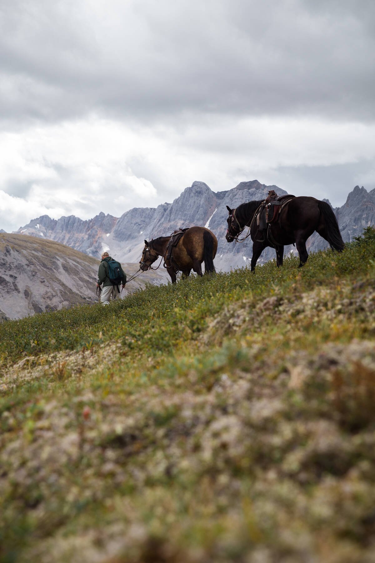 A horseback guide leads two horses across a grassy foothill with rugged mountains in the background.