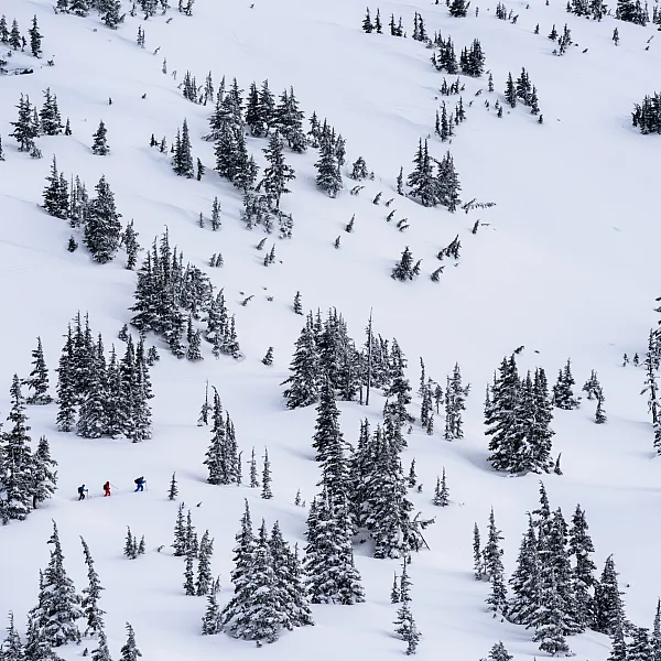 Aerial shot of three backcountry skiers at Shames Mountain Ski Area. The mountain is covered in snow and evergreen trees dot the landscape.
