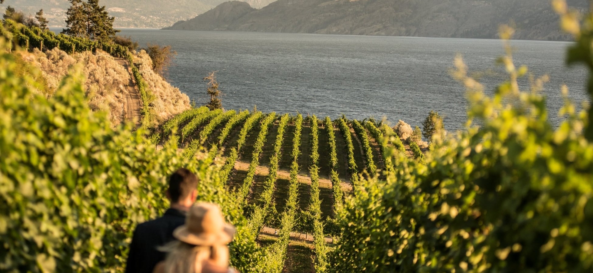 Two people at Evolve Cellars Vineyard with views of Okanagan Lake