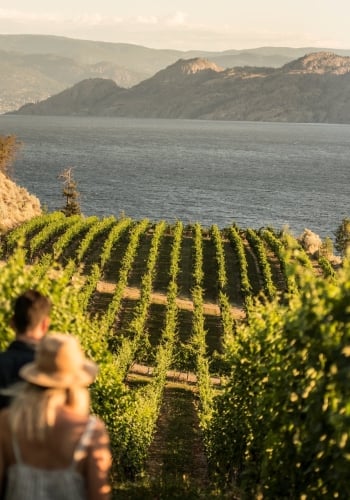 Two people at Evolve Cellars Vineyard with views of Okanagan Lake