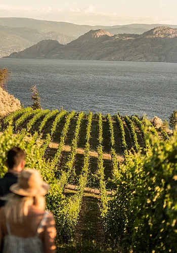 Two people at Evolve Cellars Vineyard with views of Okanagan Lake