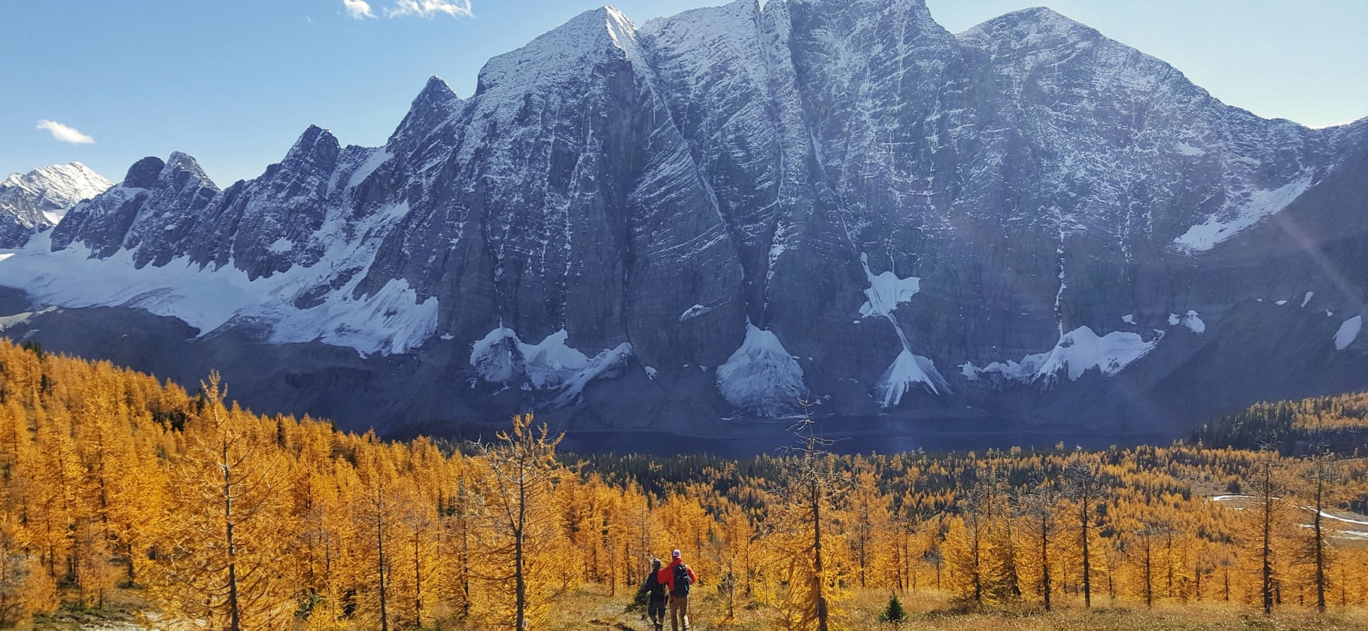 Wandern auf dem Rockwall Trail im Kootenay National Park im Herbst mit goldenen Lärchen.