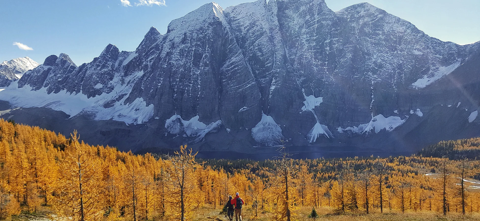 Haciendo senderismo por el Rockwall Trail en Kootenay National Park en otoño con alerces dorados.