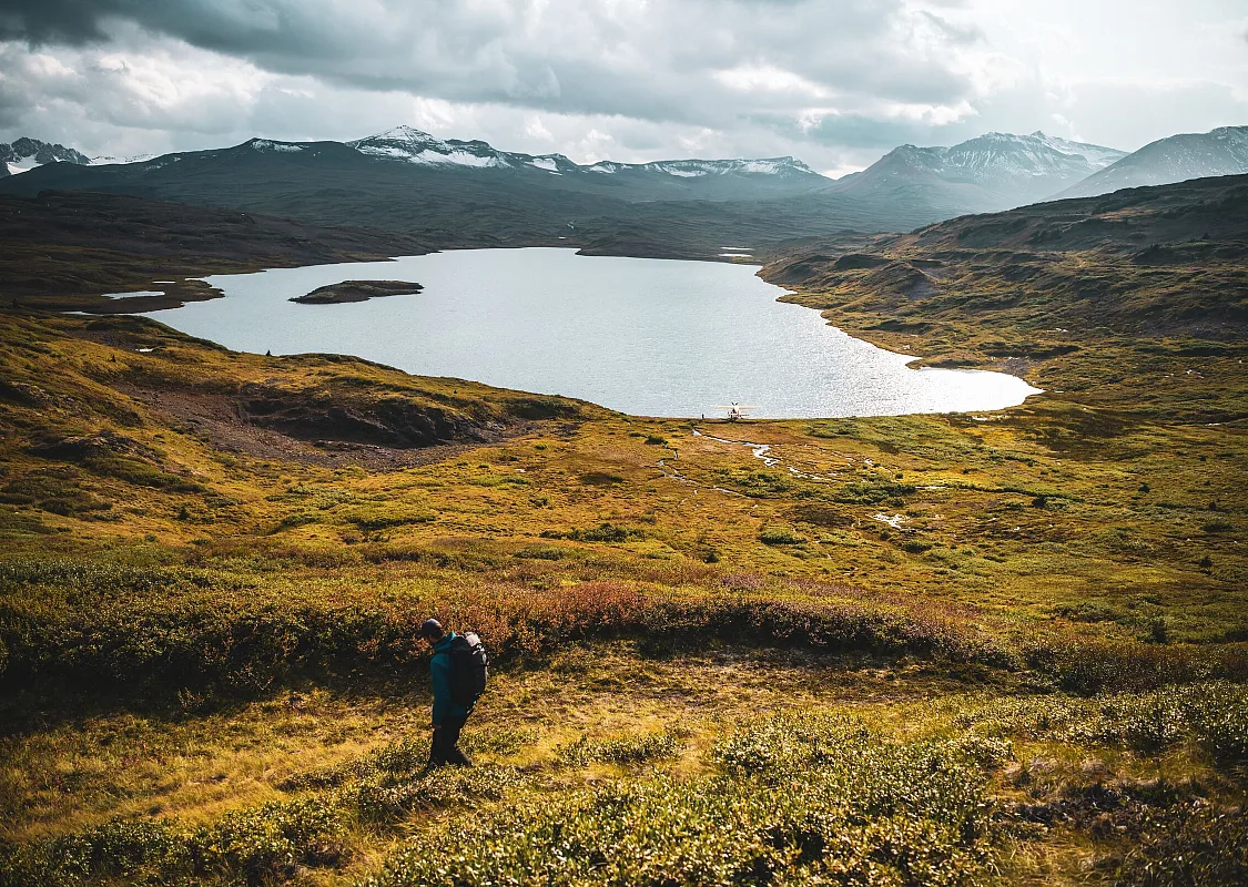 A hiker walks through an alpine meadow with low-lying foliage, mountains in the background, and a small lake in the distance.