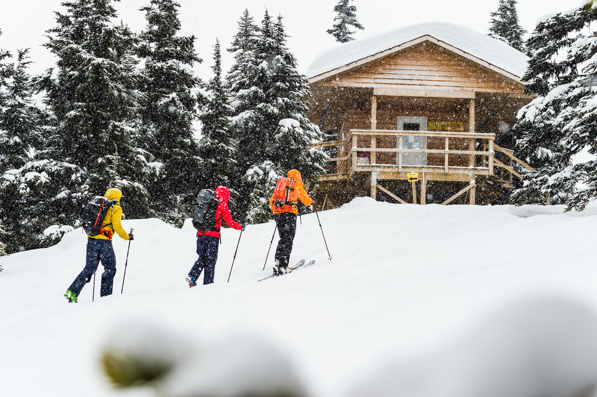 Three skiers skin up to a cabin the snow surrounded by trees. One is wearing a yellow jacket