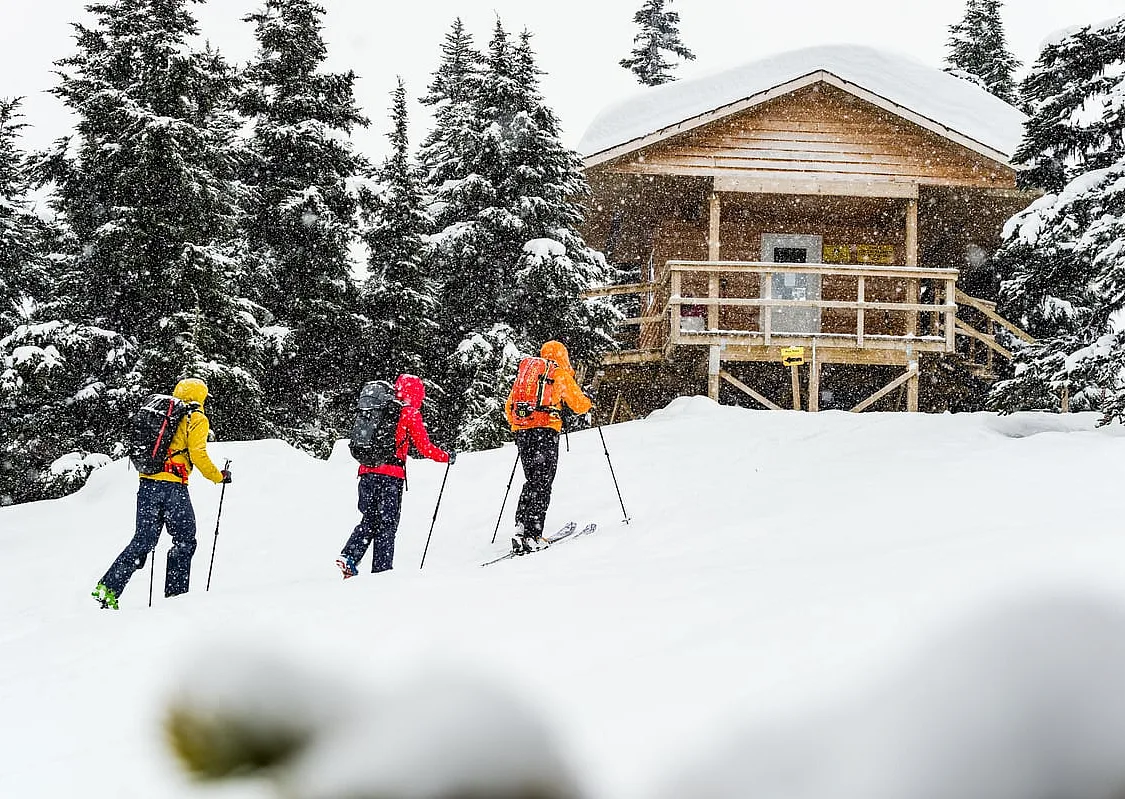 Drei Skifahrer*innen gehen auf Fellen zu einer Hütte im Schnee, umgeben von Bäumen. Eine*r trägt eine gelbe Jacke, eine*r eine rote und eine*r eine orangefarbene. Jede*r trägt einen Rucksack.