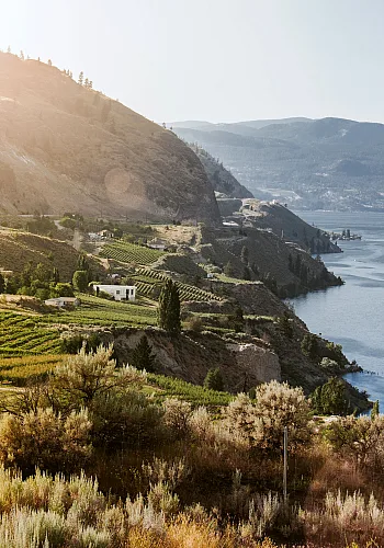 Viñedos a lo largo del lago Okanagan desde Sage Hills Estate Winery and Vineyards en Summerland