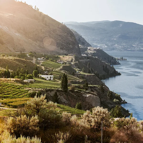 Viñedos a lo largo del lago Okanagan desde Sage Hills Estate Winery and Vineyards en Summerland