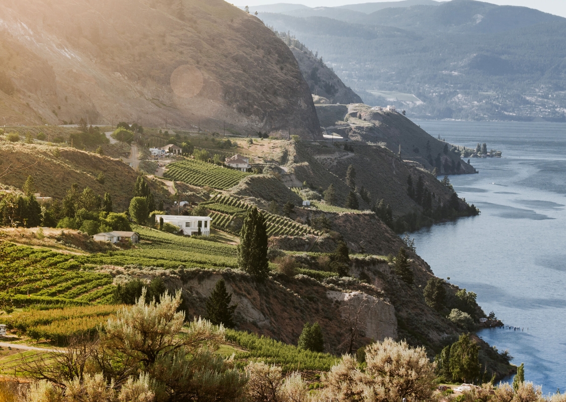 Vineyards along Okanagan Lake from Sage Hills Estate Winery and Vineyards in Summerland