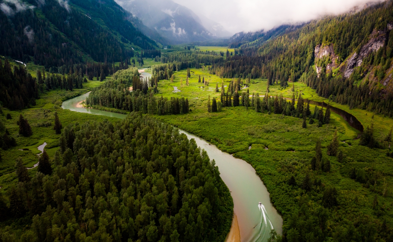 Ein Fluss, der durch einen Wald fließt.