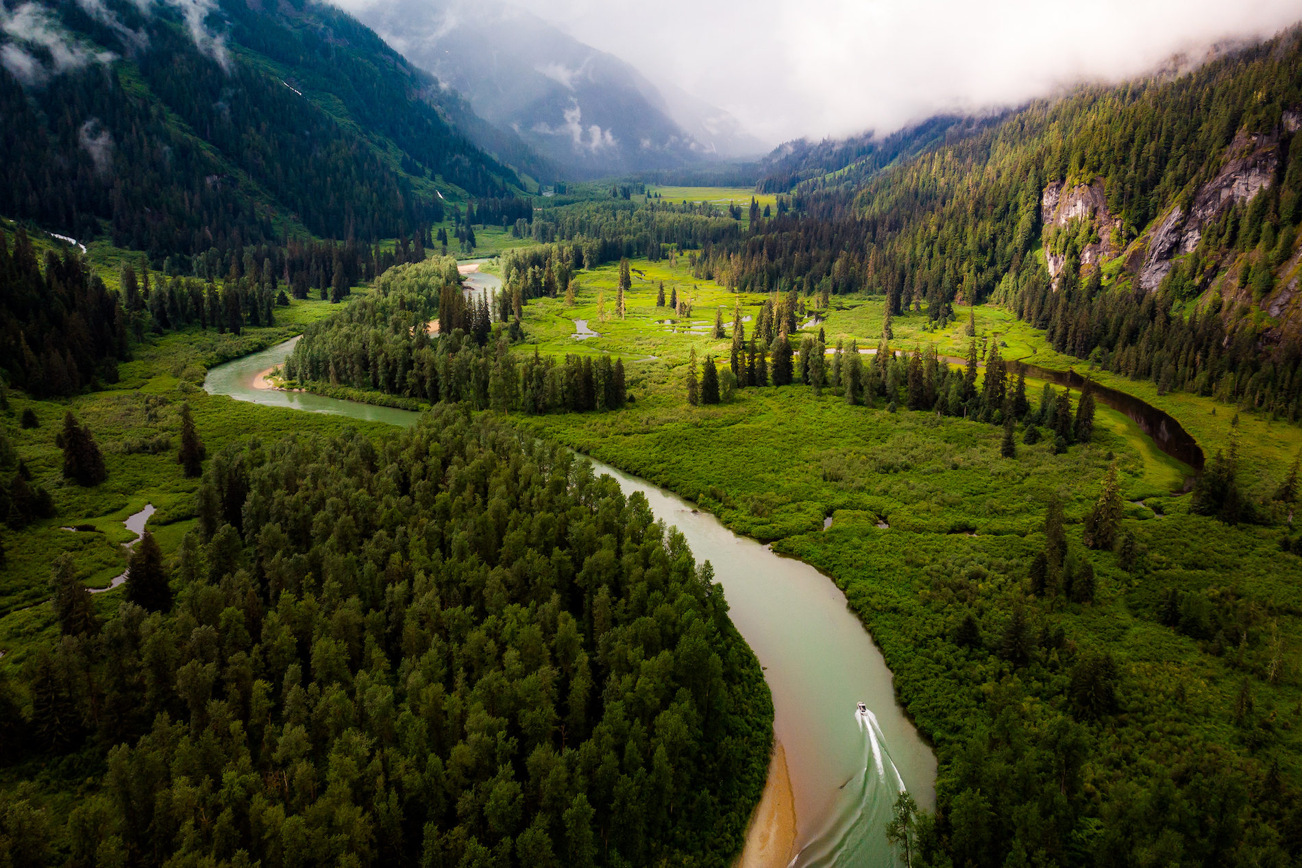 A river running through a forest