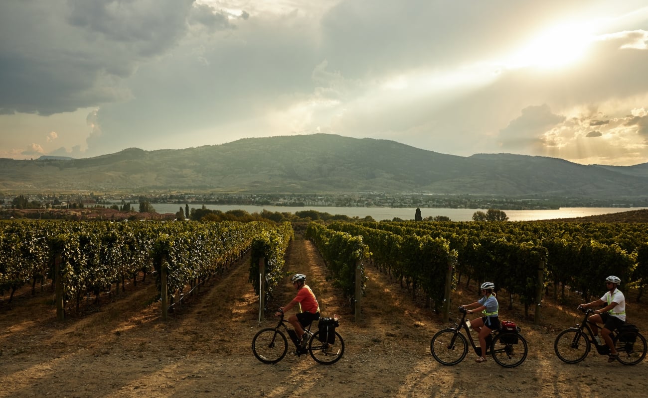 Freund*innen machen eine E-Bike-Weinprobe-Tour in Osoyoos | Hubert Kang