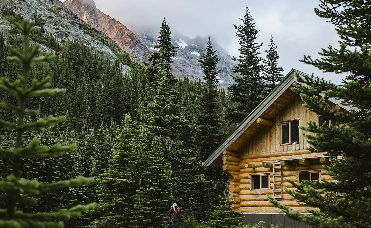 A cabin in the woods