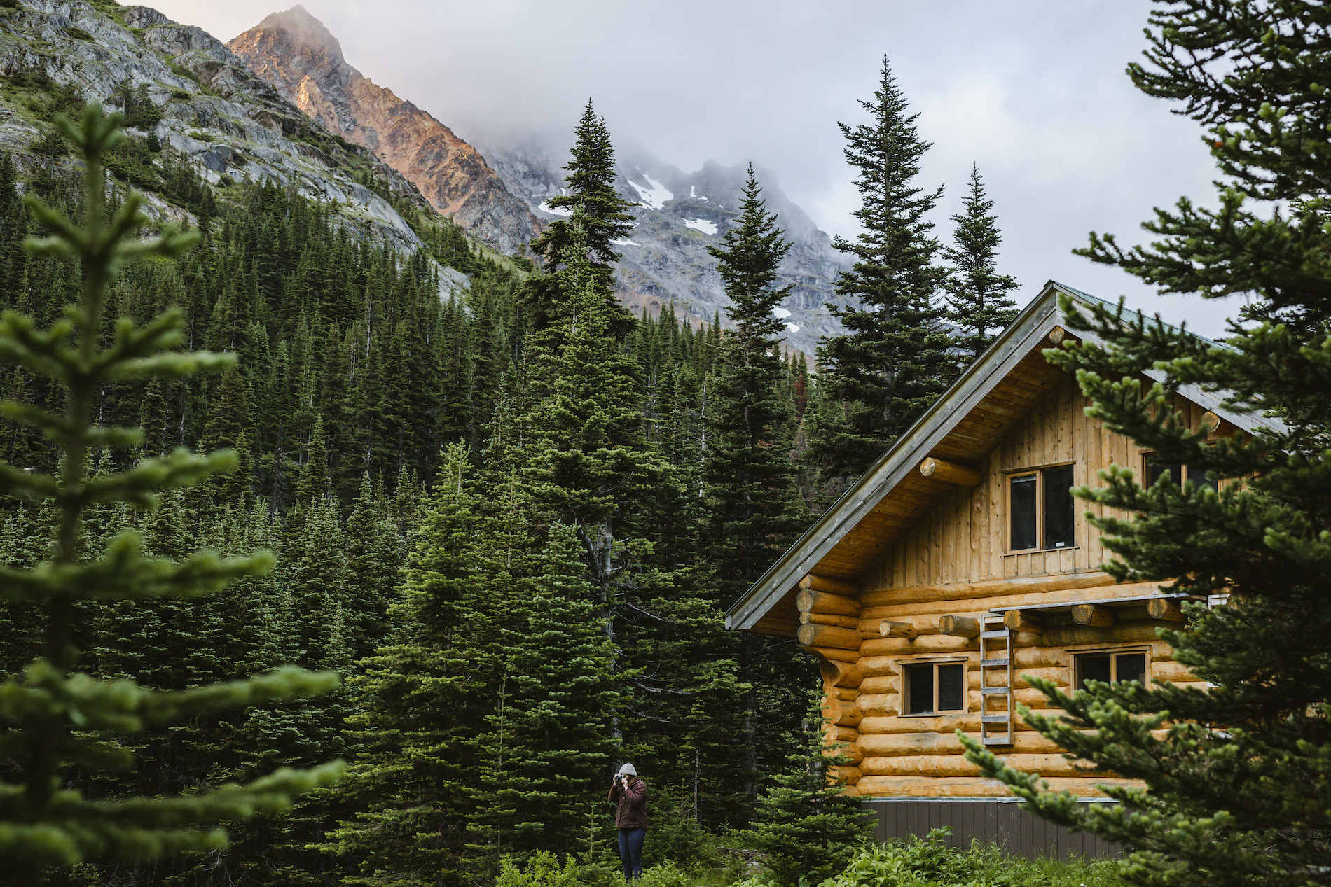 A cabin in the woods