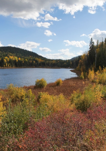 Fall colours on and around Wilgress Lake near Greenwood