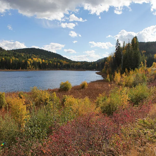 Herbstfarben am und um den Wilgress Lake bei Greenwood