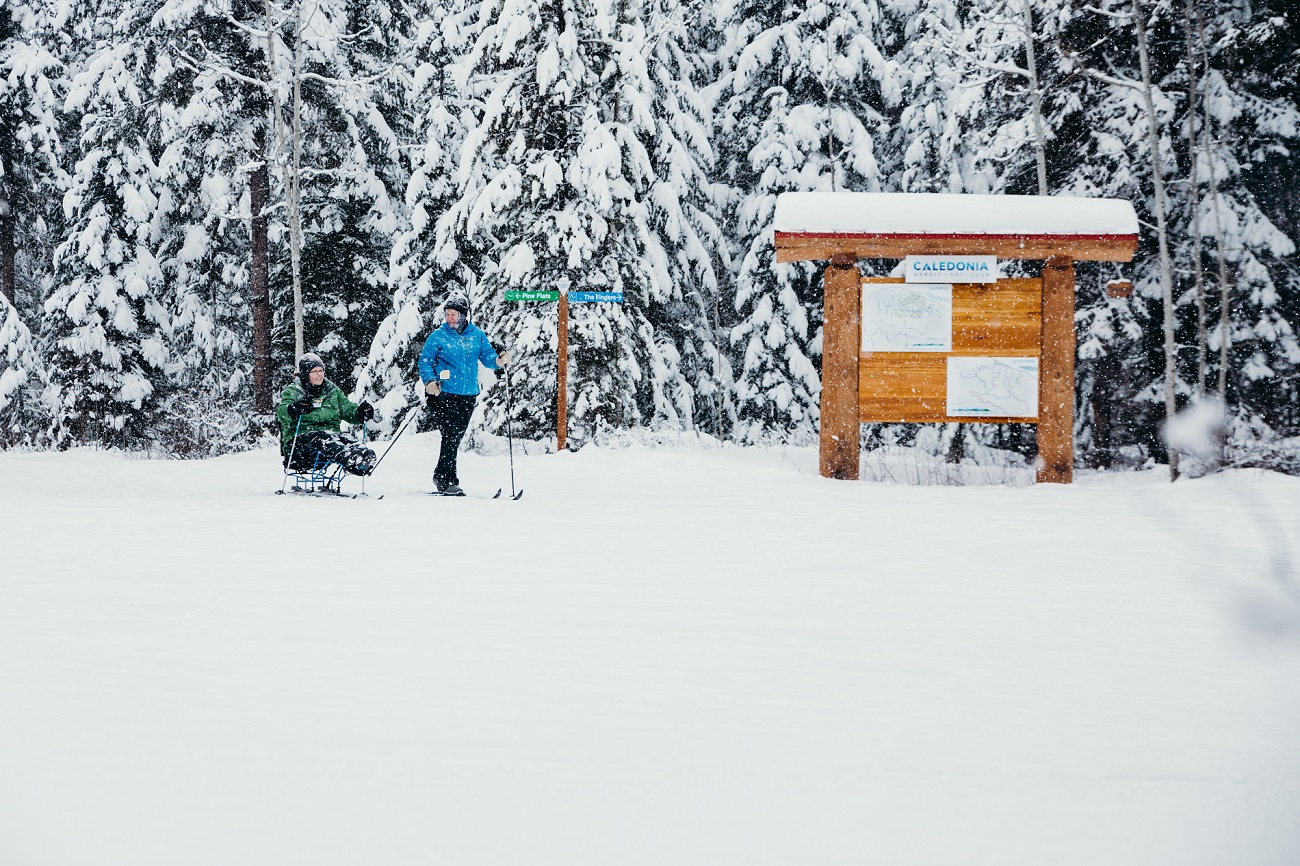 People cross country skiing next to a sign