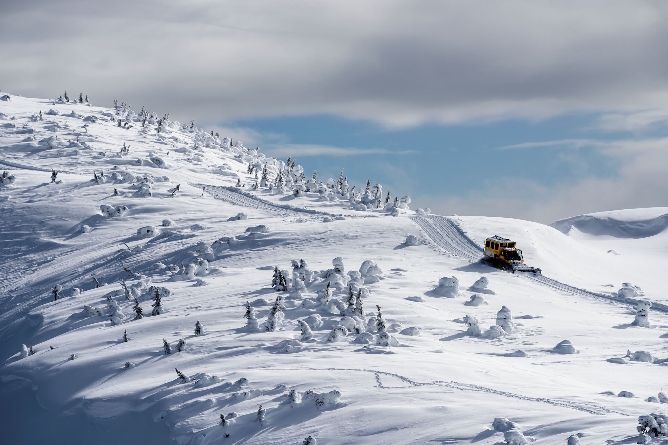 Cat-skiing in Northern British Columbia