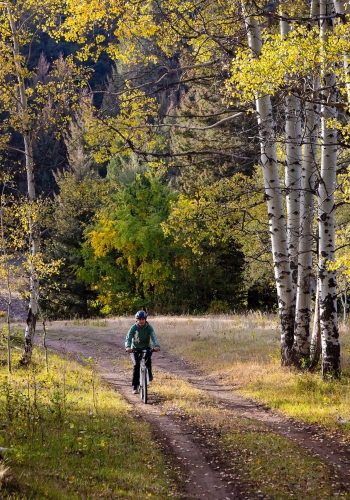 Biking on China Ridge Trails, Princeton. Fall leaves.