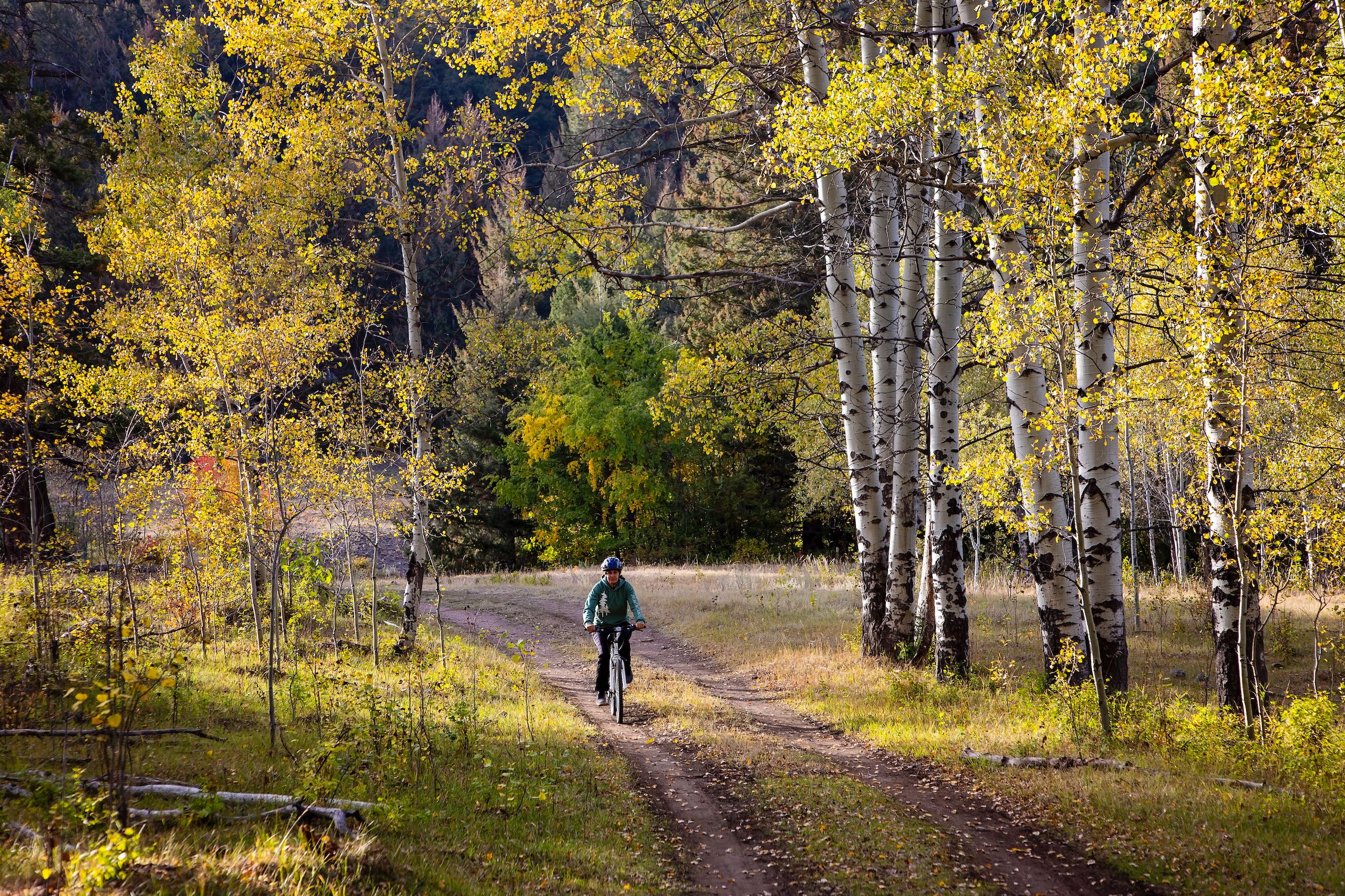 Biking on China Ridge Trails, Princeton. Fall leaves.