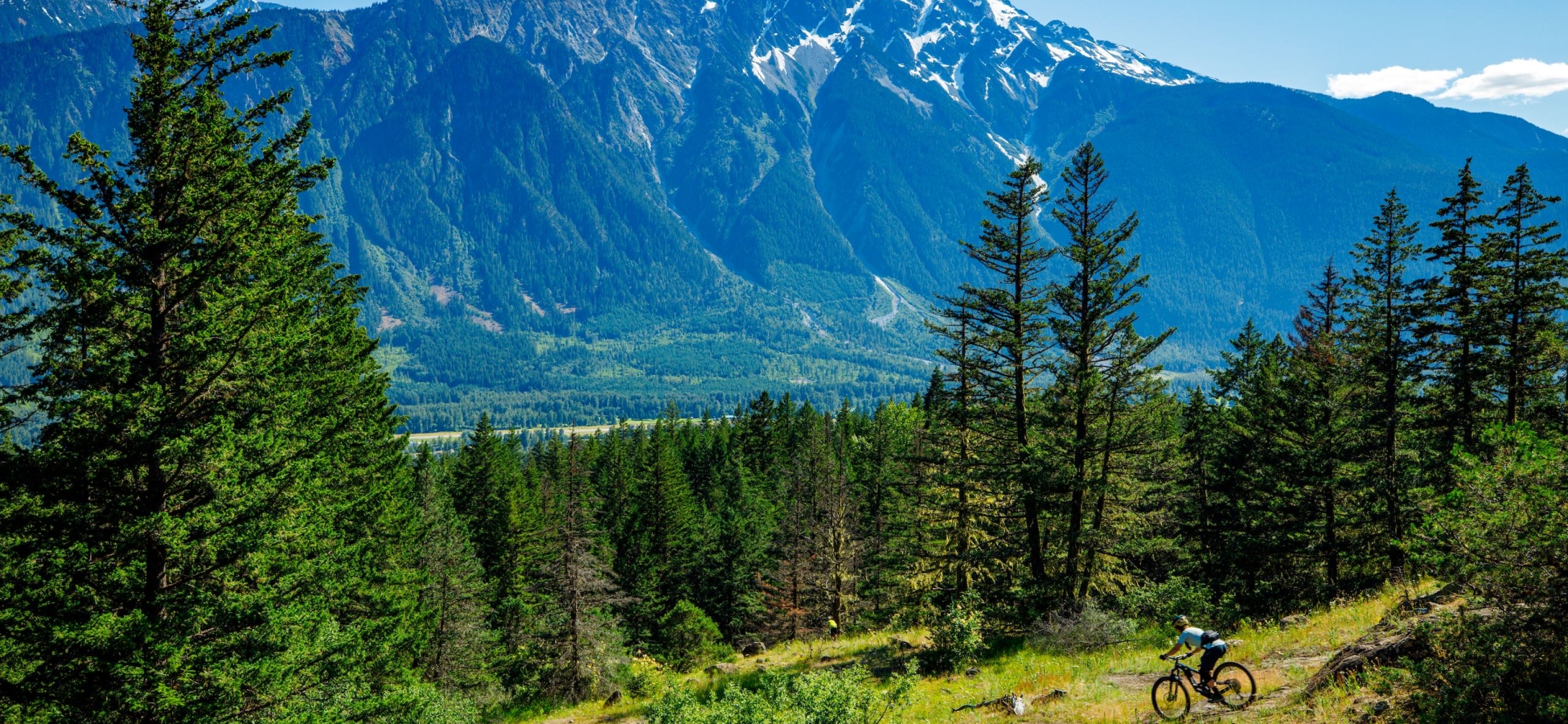 A mountain biker riding the Cream Puff Trail in Pemberton in the summertime.