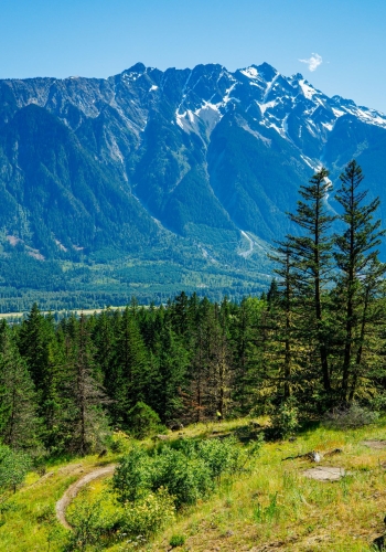 A mountain biker riding the Cream Puff Trail in Pemberton in the summertime.