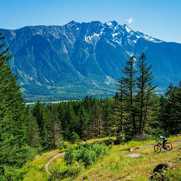 A mountain biker riding the Cream Puff Trail in Pemberton in the summertime.