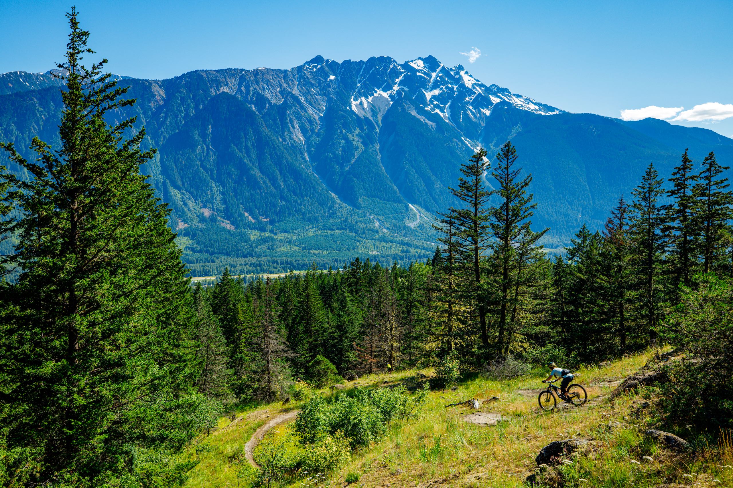 A mountain biker riding the Cream Puff Trail in Pemberton in the summertime.