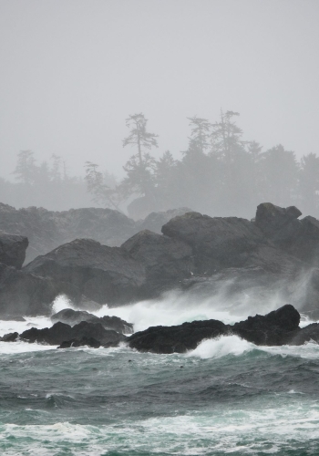 Storm watching near Amphitrite Lighthouse in Ucluelet. Wild Pacific Trail.