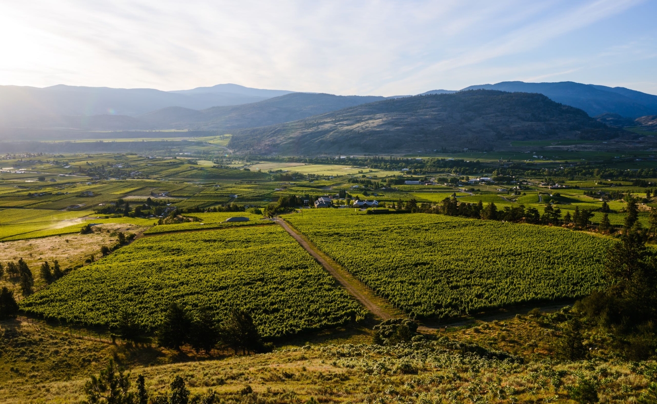 Tinhorn Creek Vineyard in Oliver