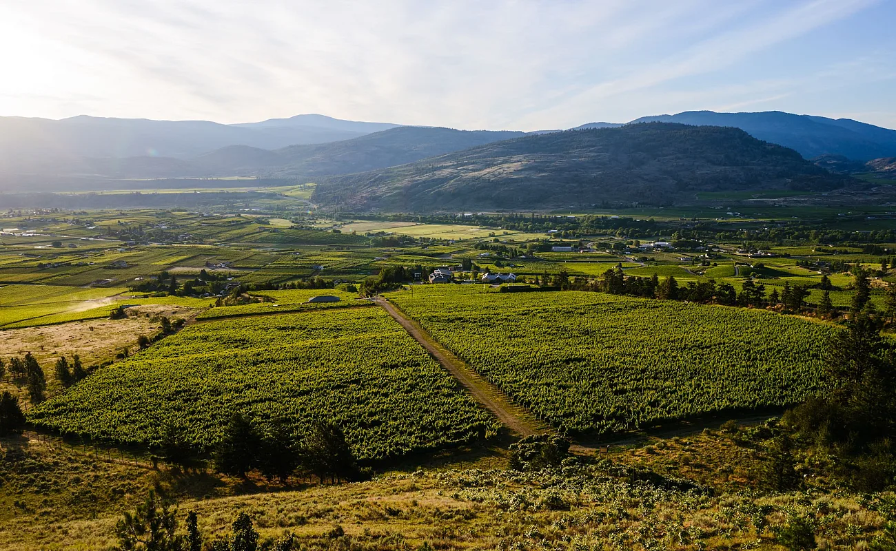Tinhorn Creek Vineyard in Oliver