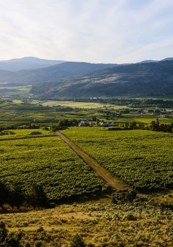Tinhorn Creek Vineyard in Oliver