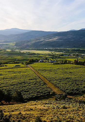 Tinhorn Creek Vineyard en Oliver