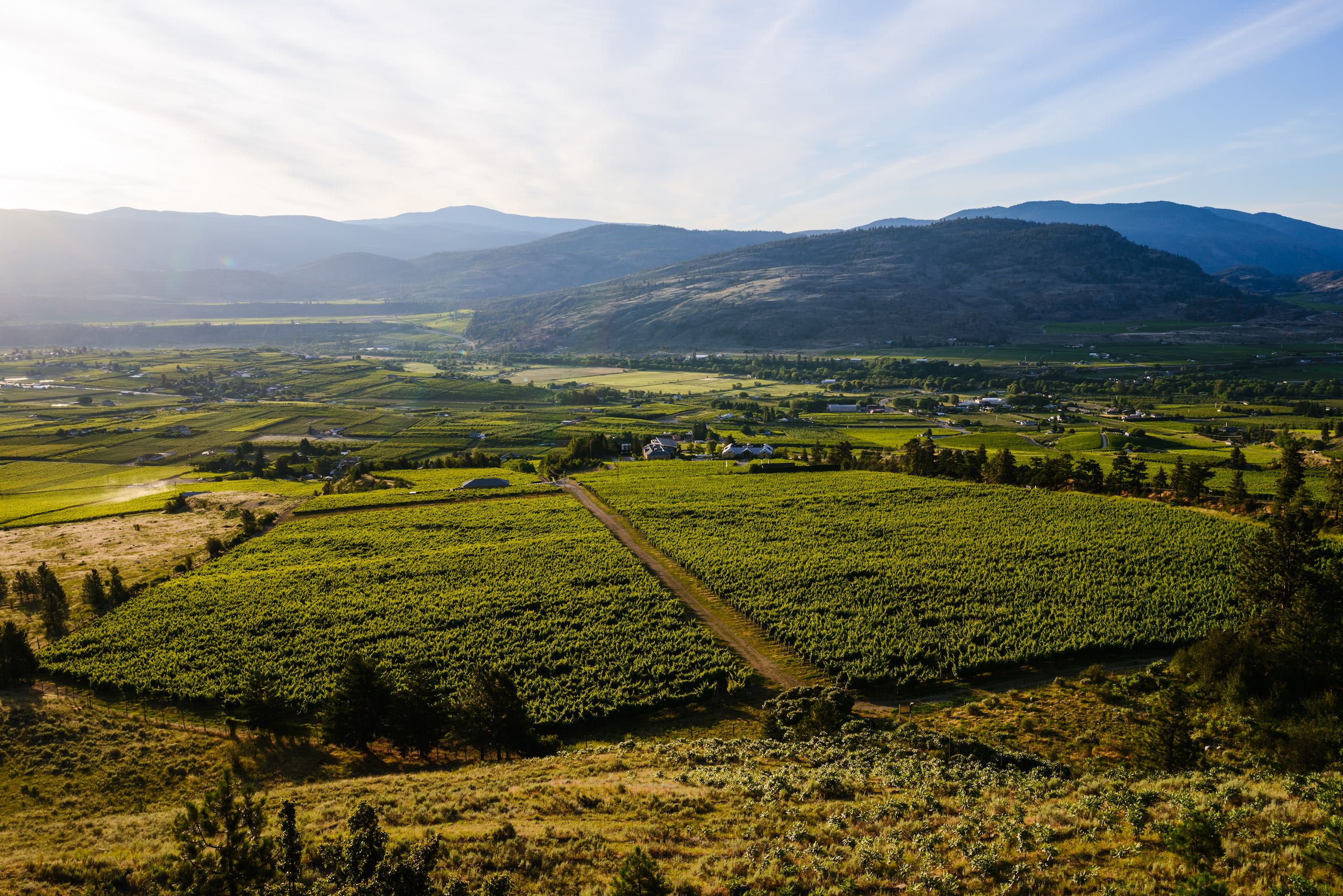 Tinhorn Creek Vineyard in Oliver