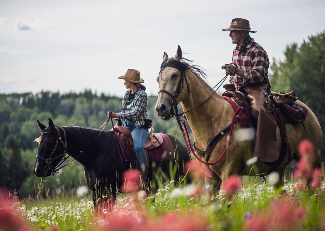 Paseos a caballo a través de un campo de flores silvestres en Montana Hill Guest Ranch