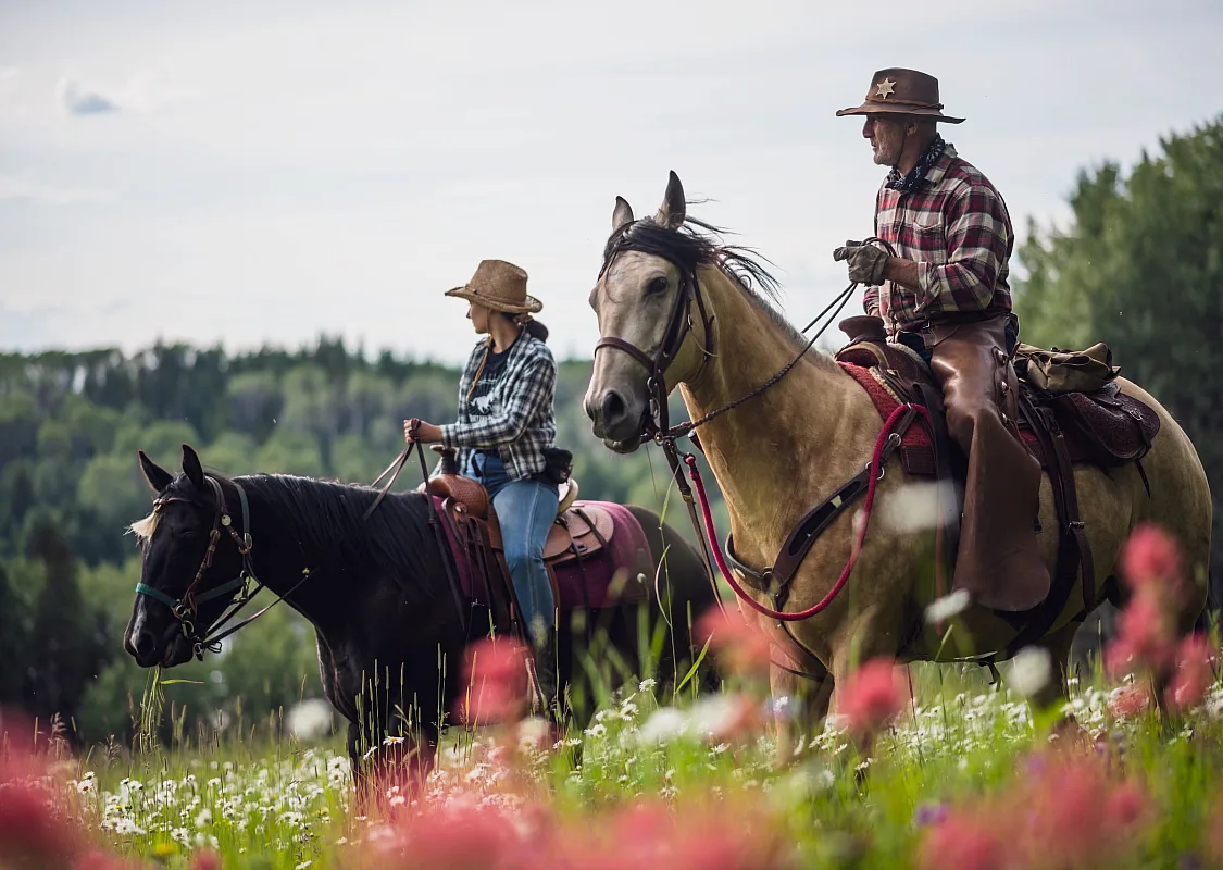 Paseos a caballo a través de un campo de flores silvestres en Montana Hill Guest Ranch