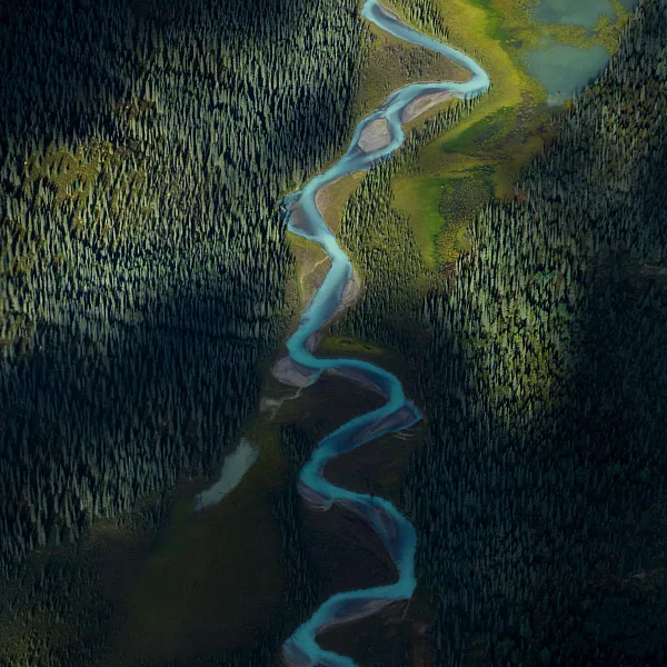 A River along the Muskwa-Kechika Management Area