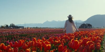 A person wandering amongst the tulips at Lakeland Flowers, home of the Abbotsford Tulip Festival.