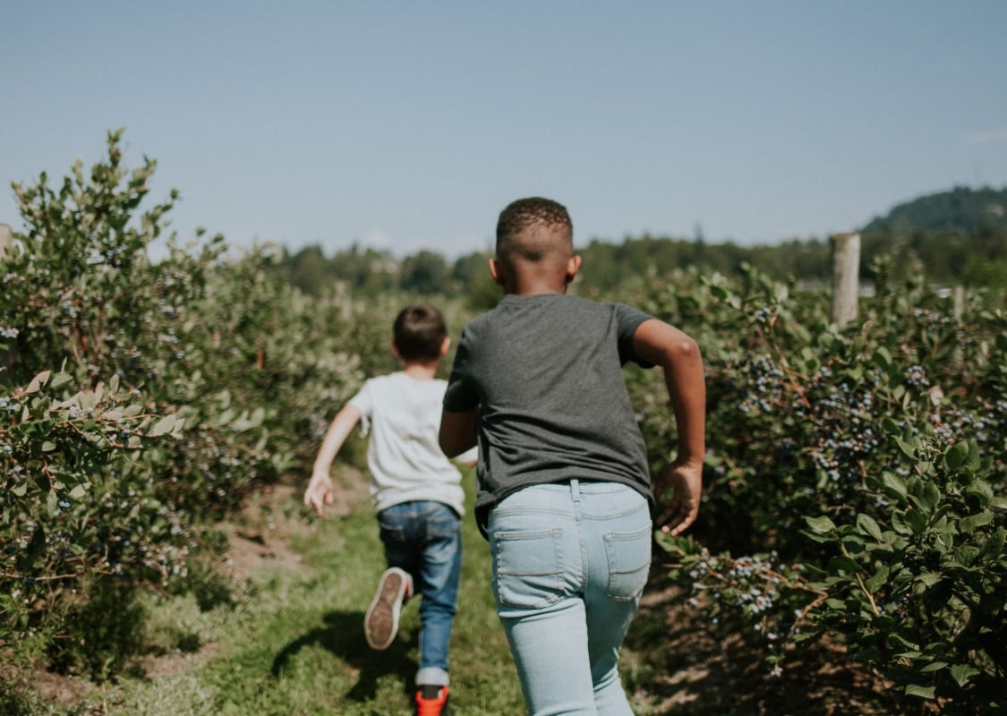 Children running on a farm in Fraser Valley