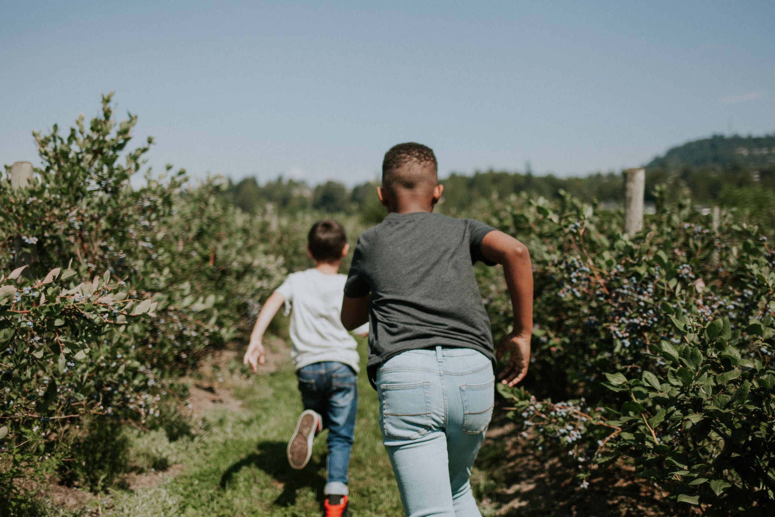 Children running on a farm in Fraser Valley