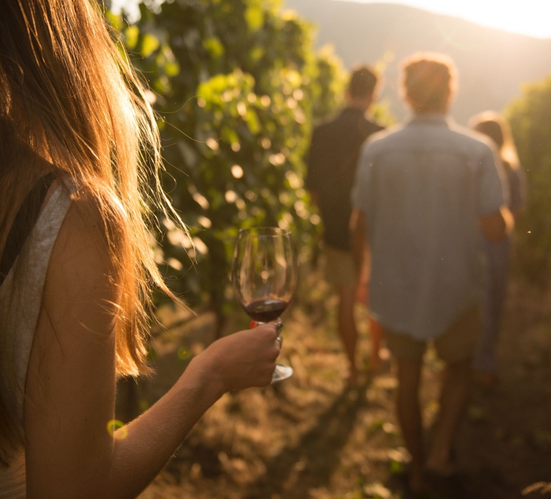 A group walks through the vineyards at Painted Rock Estate Winery Ltd