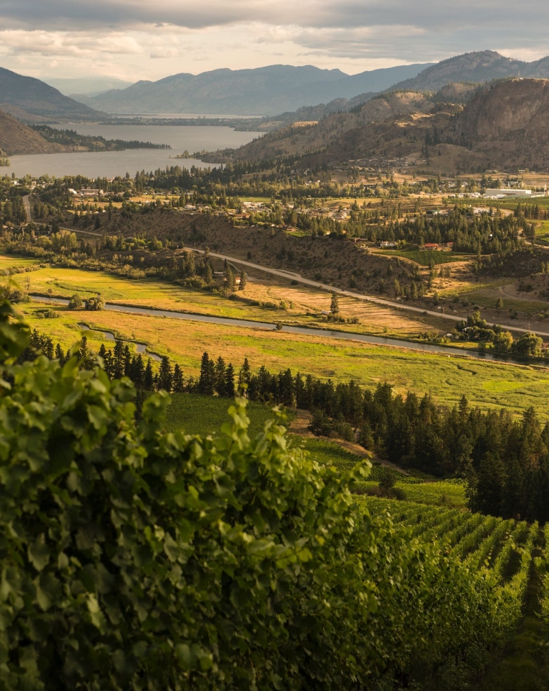 The view north to Skaha Lake from the upper vineyards of See Ya Later Ranch Winery